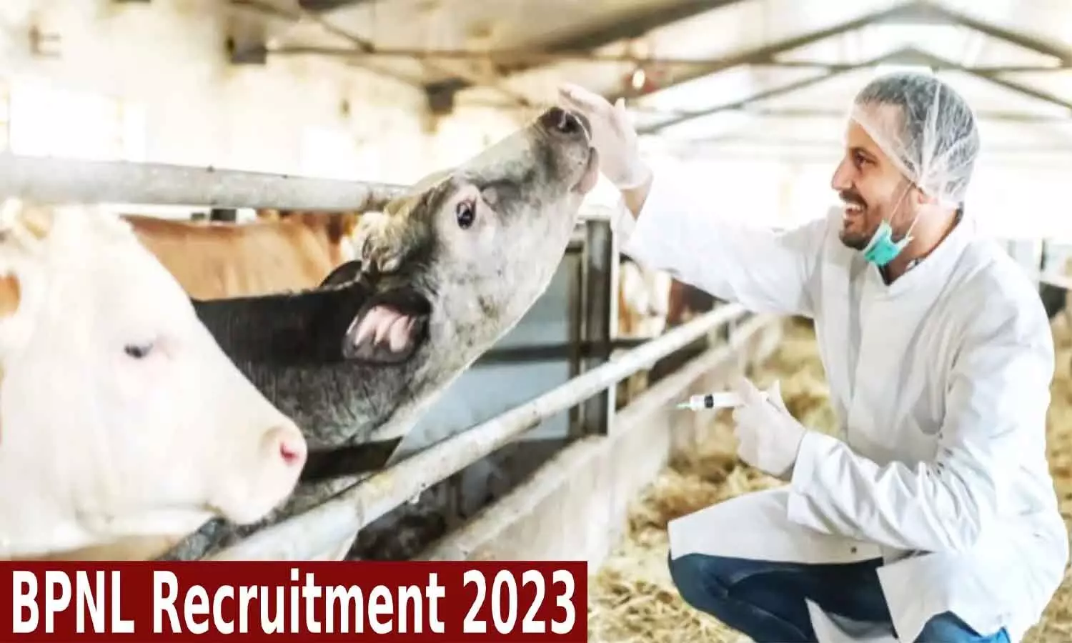 BPNL Recruitment 2023: भारतीय पशुपालन निगम लिमिटेड में 3 हजार से अधिक पदों पर निकली वैकेंसी, 10वीं पास अभ्यर्थी भी कर सकते हैं आवेदन