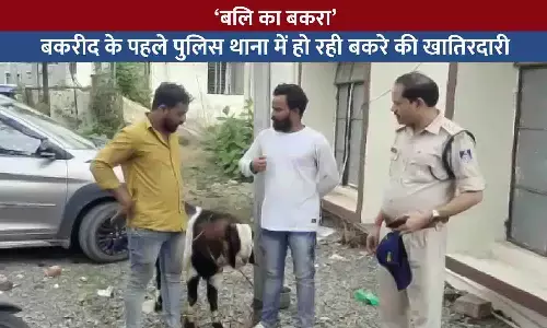 रीवा में बकरीद से पहले थाना पहुंचा बेजुबान बकरा: पुलिस ढूंढ रही असली मालिक, संजय और शाहरुख खान ने ठोंका दावा रीवा में बकरीद से पहले थाना पहुंचा बेजुबान बकरा: पुलिस ढूंढ रही असली मालिक, संजय और शाहरुख खान ने ठोंका दावा