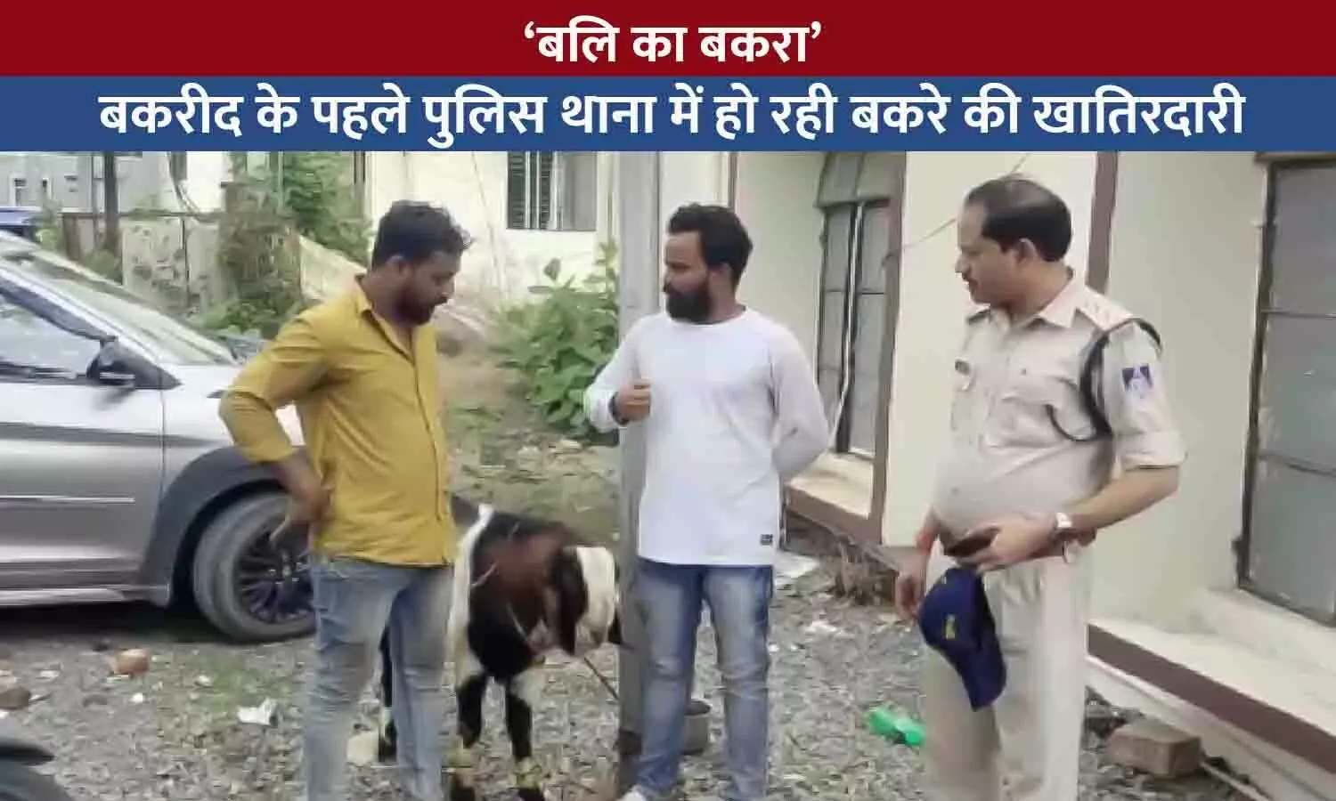 रीवा में बकरीद से पहले थाना पहुंचा बेजुबान बकरा: पुलिस ढूंढ रही असली मालिक, संजय और शाहरुख खान ने ठोंका दावा