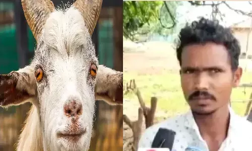 शख्स ने मन्नत पूरी होने पर बकरे की बलि चढ़ाई फिर मरे हुए बकरे की आंख निगलने से खुद मर गया