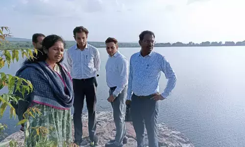 Rewa Collector Pratibha Pal News Rewa Collector Pratibha Pal News