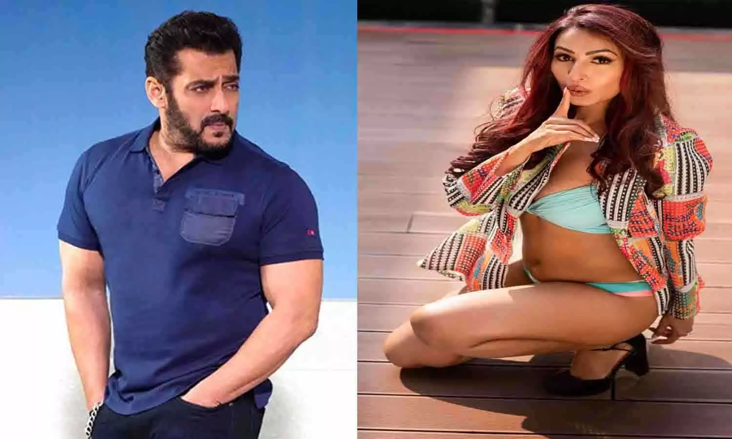 salman khan_kashmira shah