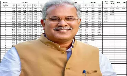 Dearness Allowance In CG Dearness Allowance In CG