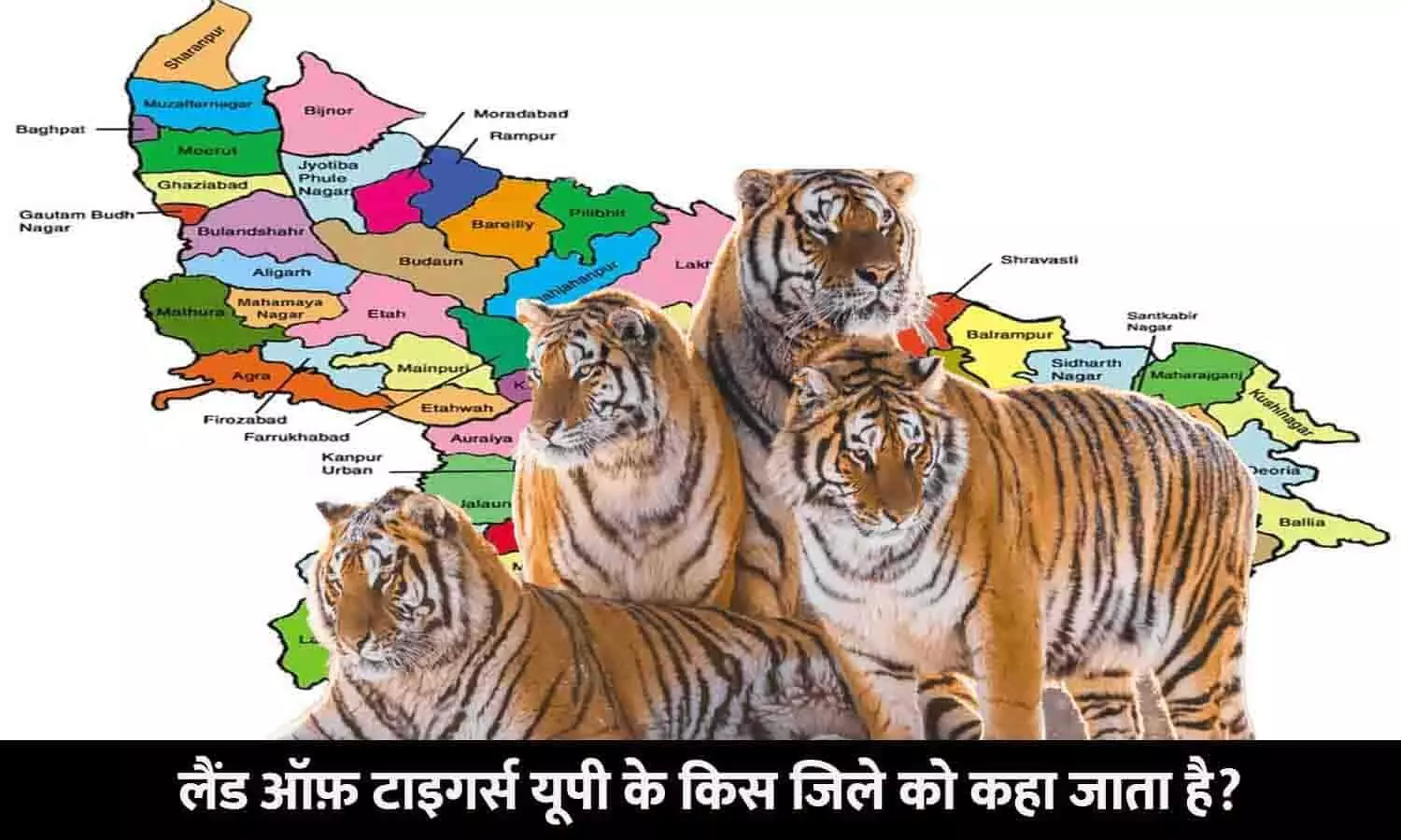 UP Ke Kis Jile Ko Land of Tigers Kaha Jata Hai: लैंड ऑफ़ टाइगर्स यूपी के किस जिले को कहा जाता है?