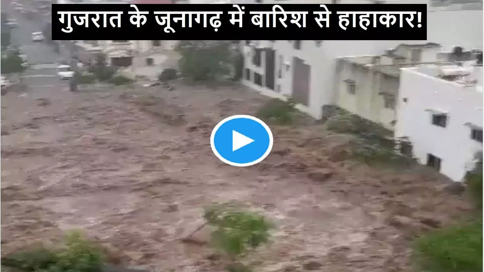 Gujarat Floods 2023: गुजरात के जूनागढ़ में बारिश से हाहाकार, पानी में बह गईं कारें; तेज बहाव में नहीं टिक सकीं भैंसें; देखें VIDEO