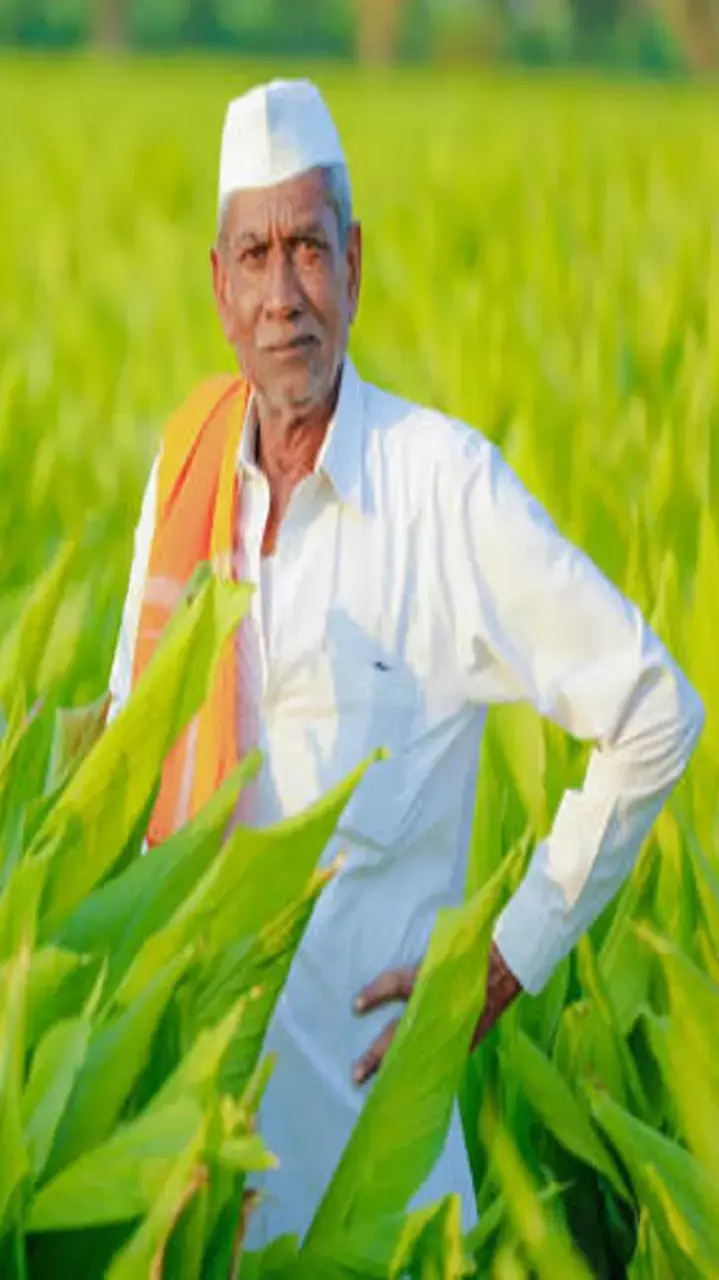 MP Saral Bijli Bill Mafi Yojana किसको होगा फायदा, यहां जानिए