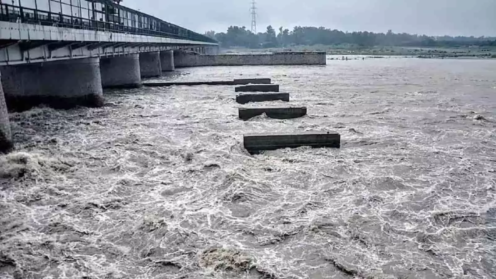 दिल्ली-NCR में फिर बाढ़ का खतरा! हथिनी कुंड बैराज से छोड़ा गया 2 लाख क्यूसेक पानी, HIGH ALERT जारी