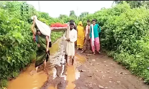 एमपी के इस गांव में नहीं पहुंच पाती एम्बुलेंस, गर्भवती को खटिया पर लादकर ग्रामीणों ने पहुंचाया अस्पताल