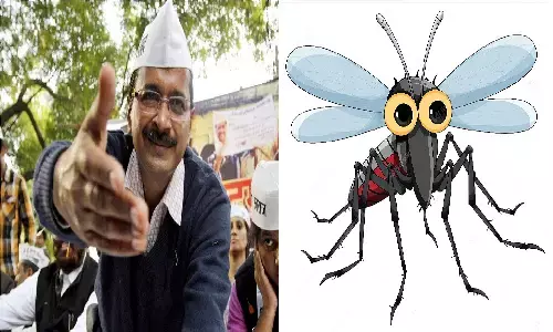 दिल्ली: घर-दफ्तर में मच्छर मिले तो देना होगा 5000 का जुर्माना! दिल्ली: घर-दफ्तर में मच्छर मिले तो देना होगा 5000 का जुर्माना!