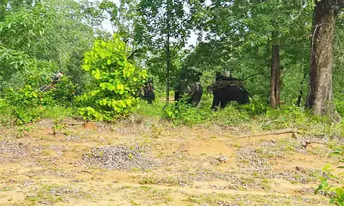 एमपी के उमरिया में घर के अंदर सो रहे बालक को दबोच ले गया तेंदुआ! शोर मचाने पर छोड़कर खड़ा हुआ