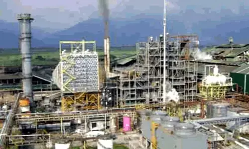 रीवा जिले में विगत 5 माह के अंदर 26 बड़ी इकाइयों की हुई स्थापना, 430 लोगों को मिला रोजगार रीवा जिले में विगत 5 माह के अंदर 26 बड़ी इकाइयों की हुई स्थापना, 430 लोगों को मिला रोजगार