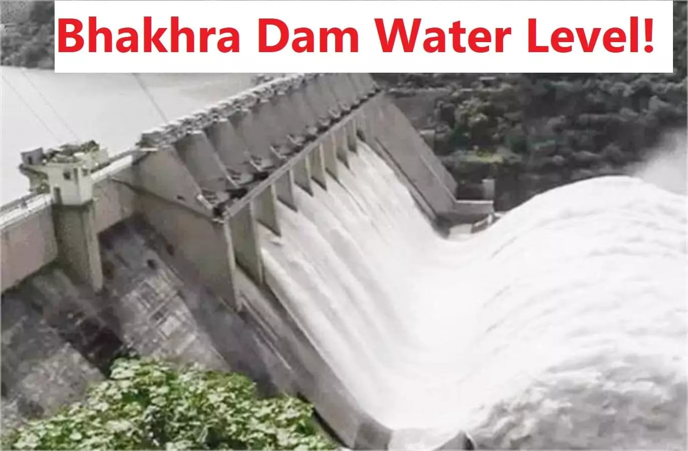 Bhakra Dam Water Level: पंजाब में फिर खतरे की घंटी, डेंजर लेवल के करीब पहुंचा भाखड़ा डैम का पानी