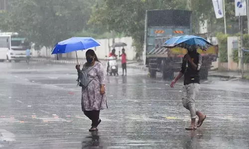 MP Weather: मौसम विभाग ने जारी किया बड़ा अपडेट, नया सिस्टम हुआ एक्टिव, इन जिलों में होगी झमाझम बारिश