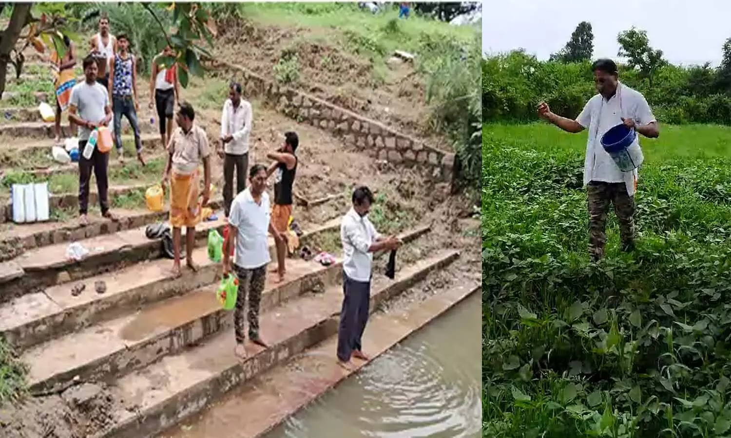 Jamni River: एमपी-यूपी बार्डर पर स्थित इस नदी का जल छिड़कने से फसलों में नहीं लगते रोग व कीड़े, कीटनाशक की नहीं पड़ती आवश्यकता