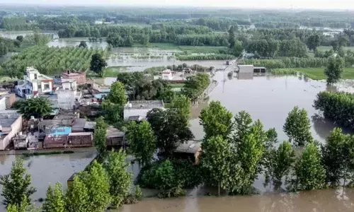 Punjab Flood News In Hindi