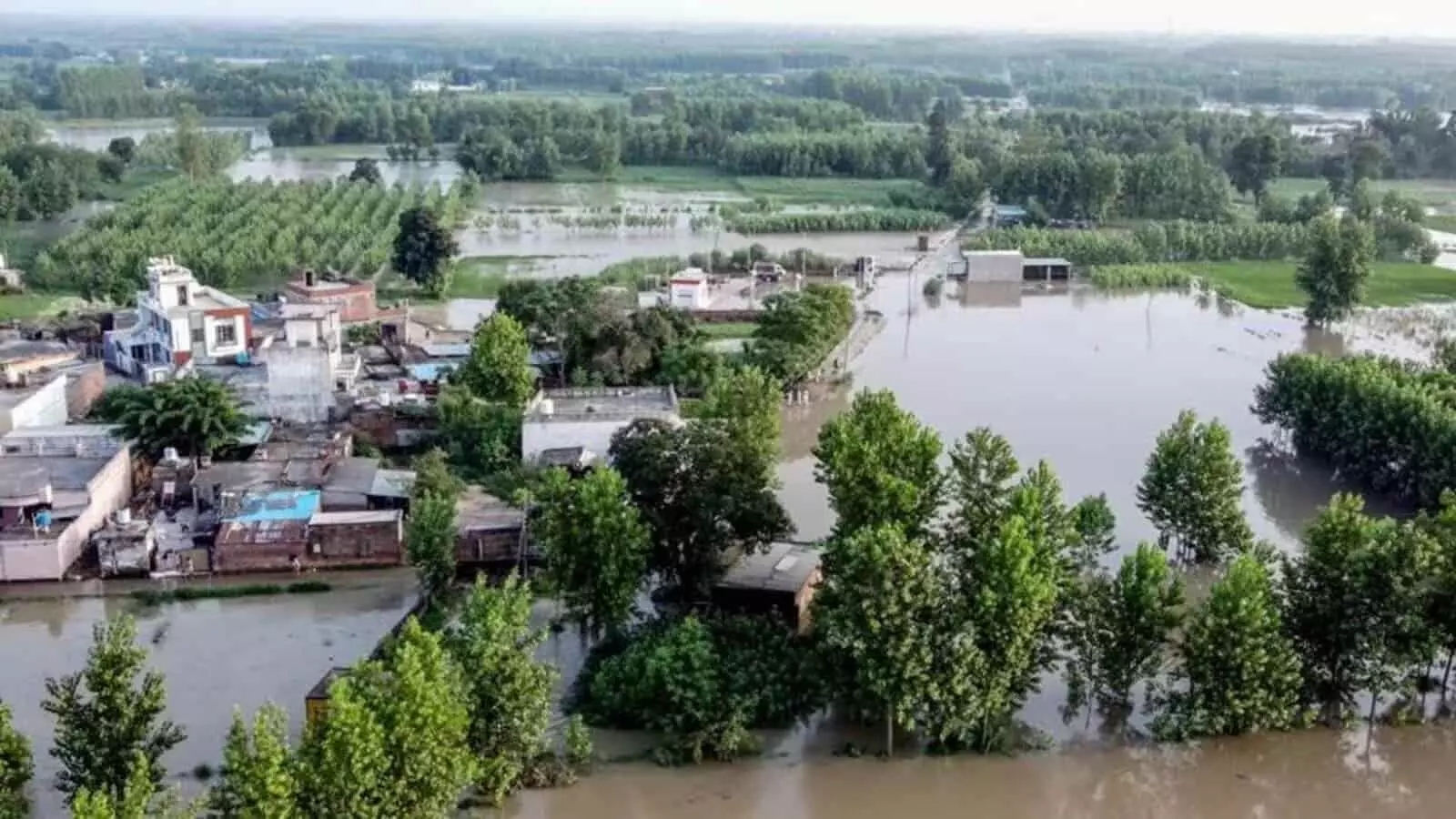 Punjab Flood News In Hindi