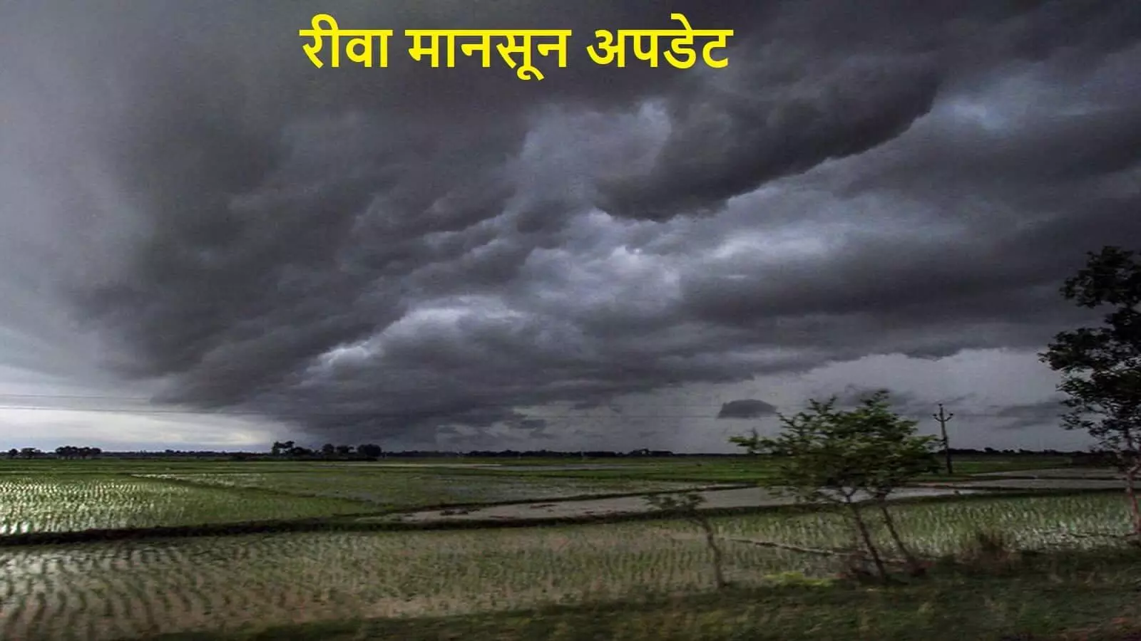 Rewa Monsoon News
