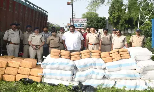 एमपी में पकड़ा गया 2 करोड़ रुपए का गांजा, ट्रक में लकड़ियों के बीच छिपाकर रखे थे तस्कर