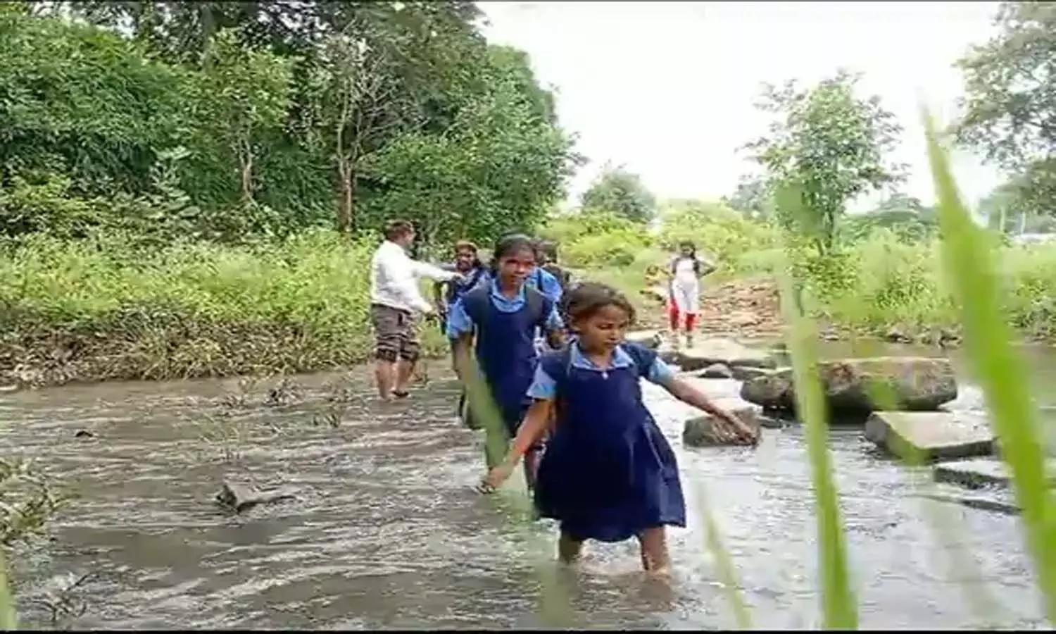 एमपी के पन्ना स्थित आदिवासी बाहुल्य गांव का हाल बेहाल, जान जोखिम में डाल नाला पार कर स्कूल जाते हैं नौनिहाल