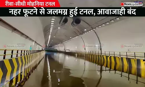 जलमग्न हुई रीवा-सीधी मोहनिया टनल: नहर फूटने की वजह से सड़क सुरंग में जलभराव हुआ, आवाजाही बंद; वाहनों की लंबी कतार लगी