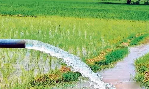 Sitapur-Hanumana Micro Project: रीवा-सीधी व मऊगंज जिले की हजारों हेक्टेयर भूमि होगी सिंचित, यहां बनेगा 269 एमसीएम क्षमता का बैराज