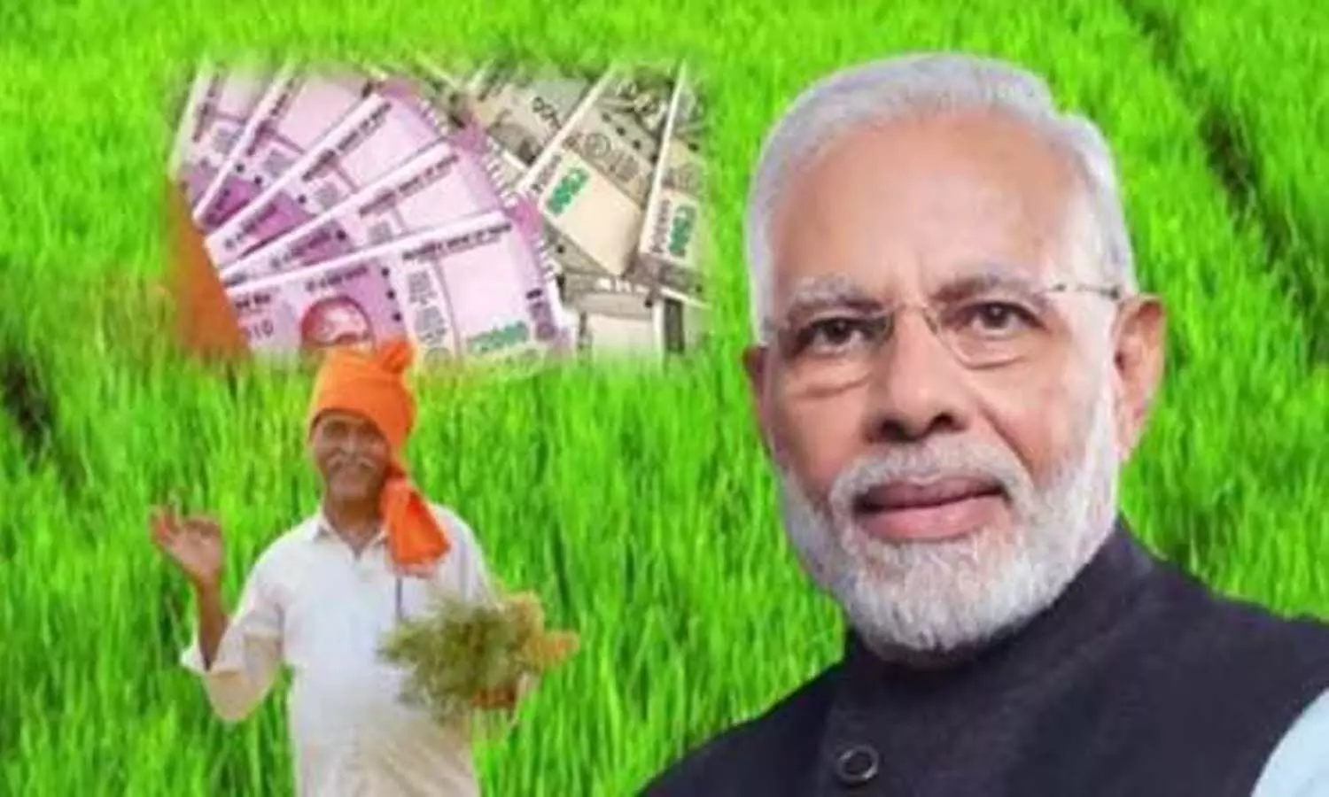 रीवा जिले के 24 हजार किसानों की रुक सकती है प्रधानमंत्री सम्मान निधि, जल्द करा लें यह कार्य