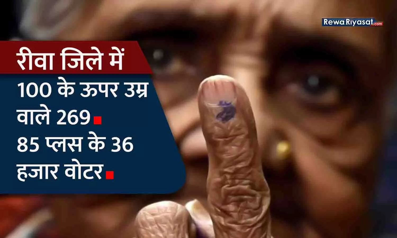रीवा जिले में 100 के ऊपर उम्र वाले 269, 85 प्लस के 36 हजार वोटर; उम्रदराज मतदाताओं के घर जाकर वोट डलवाएगी टीमें