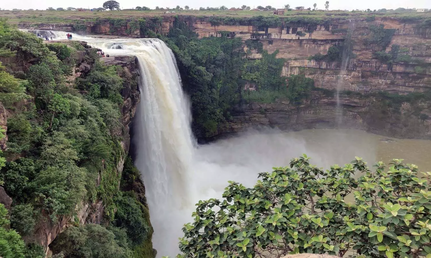 रीवा के क्योंटी जलप्रपात में मिली युवक की लाश, परिजनों ने लगाया आरोप