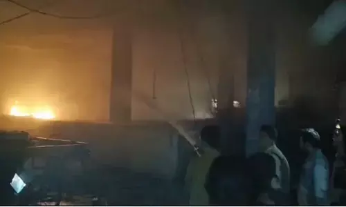 एमपी के दमोह स्थित फल मार्केट में भड़क उठी आग, सामान जलकर खाक, लाखों का हुआ नुकसान