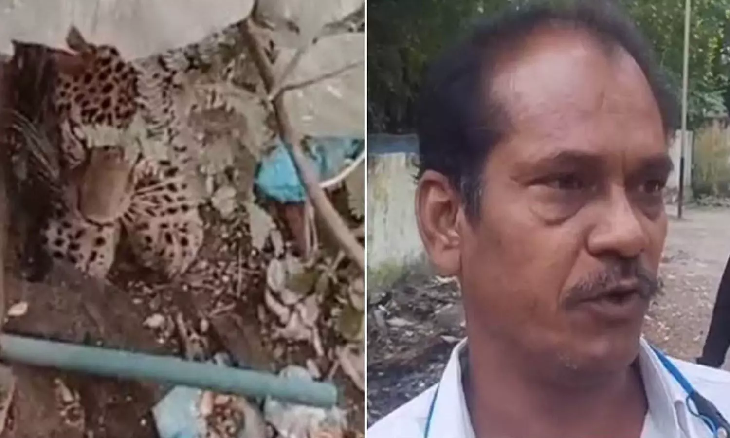 एमपी में रेलवे कर्मचारी पर झपट पड़ा तेंदुआ, कुत्ते का किया शिकार, ड्रोन से की जा रही सर्चिंग