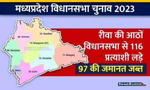 रीवा की आठों विधानसभा से 116 प्रत्याशी लड़े, 97 की जमानत जब्त; लक्ष्मण से लेकर सीमा जयवीर तक शामिल