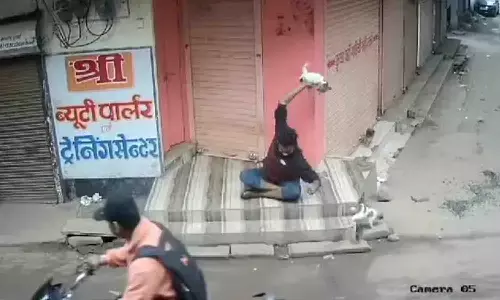 युवक ने कुत्ते के बच्चे को बेहरमी से पटका, पैर से कुचला, ज्योतिरादित्य सिंधिया की मांग के बाद गिरफ्तार हुआ युवक, वीडियो वायरल