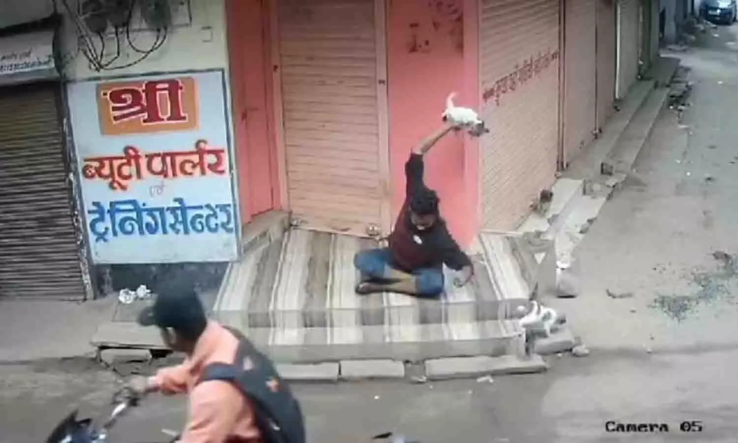 युवक ने कुत्ते के बच्चे को बेहरमी से पटका, पैर से कुचला, ज्योतिरादित्य सिंधिया की मांग के बाद गिरफ्तार हुआ युवक, वीडियो वायरल