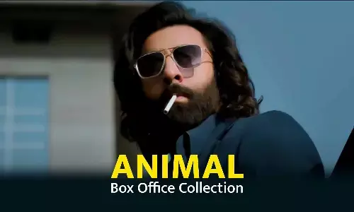 Animal Box Office Collection