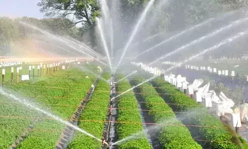 MP में 32 हजार करोड़ रूपये की सिंचाई परियोजनाओं की अनुमति