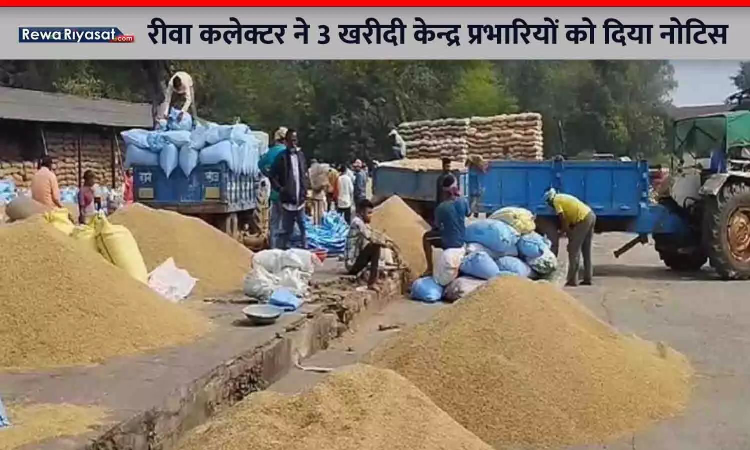 समर्थन मूल्य में धान खरीदी: रीवा कलेक्टर ने तीन खरीदी केन्द्र प्रभारियों को दिया नोटिस समर्थन मूल्य में धान खरीदी: रीवा कलेक्टर ने तीन खरीदी केन्द्र प्रभारियों को दिया नोटिस