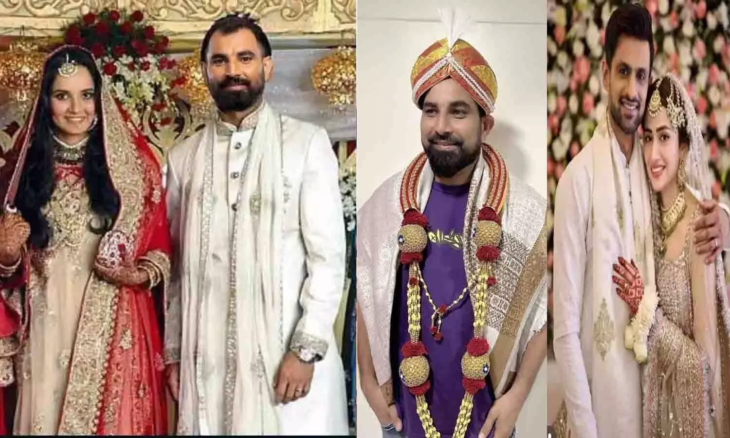 37 साल की सानिया मिर्जा ने क्रिकेटर मोहम्मद शमी से रचा ली शादी? होटल में लिए 7 फेरे