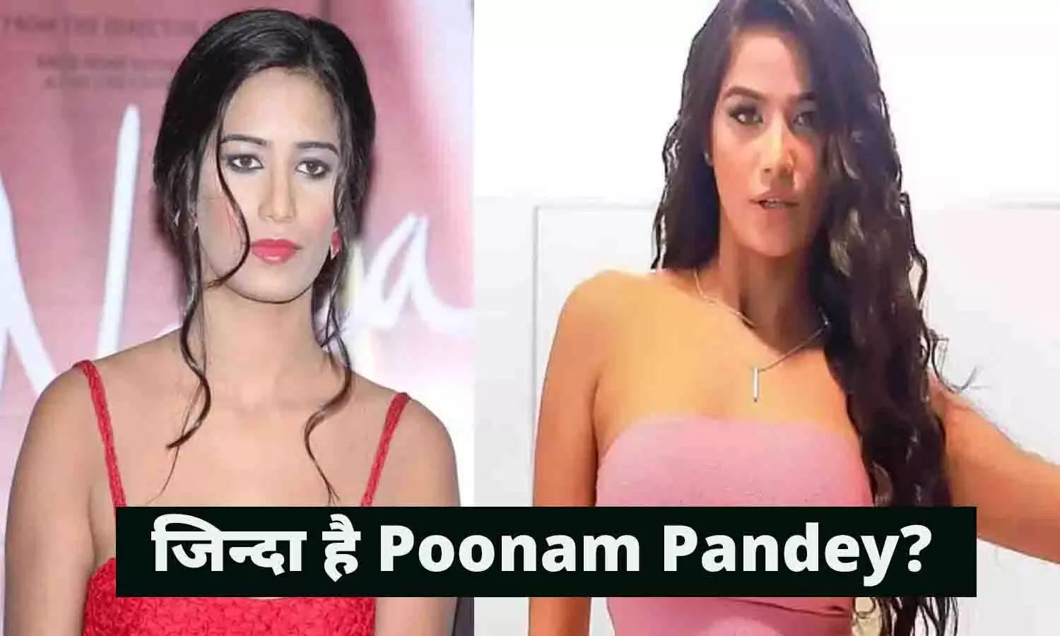 BIG News: जिन्दा है Poonam Pandey?