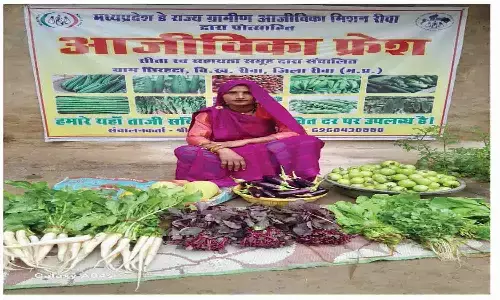 रीवा की महिला की चमकी किस्मत, जैविक खेती से हो रही मालामाल रीवा की महिला की चमकी किस्मत, जैविक खेती से हो रही मालामाल