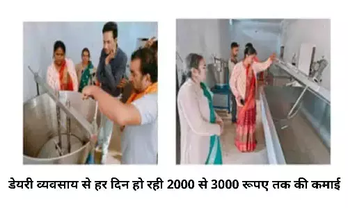 रीवा: डेयरी व्यवसाय से हर दिन हो रही 2000 से 3000 रूपए तक की कमाई रीवा: डेयरी व्यवसाय से हर दिन हो रही 2000 से 3000 रूपए तक की कमाई