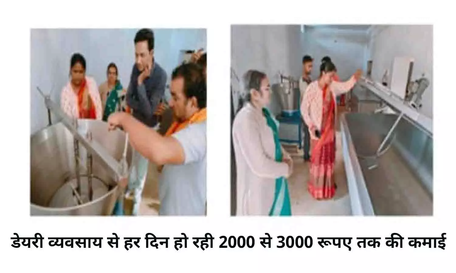 रीवा: डेयरी व्यवसाय से हर दिन हो रही 2000 से 3000 रूपए तक की कमाई रीवा: डेयरी व्यवसाय से हर दिन हो रही 2000 से 3000 रूपए तक की कमाई