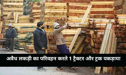 रीवा: अवैध लकड़ी का परिवहन करते 1 ट्रैक्टर और ट्रक पकड़ाया, जानिये पूरा मामला..