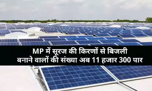 गुड न्यूज़! MP में सूरज की किरणों से बिजली बनाने वालों की संख्या अब 11 हजार 300 पार