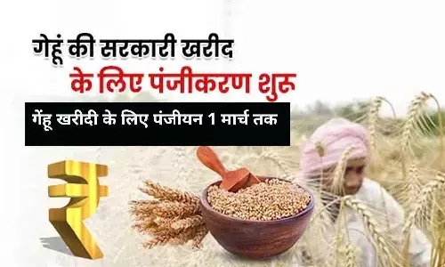 रीवा में समर्थन मूल्य पर गेंहू खरीदी के लिए पंजीयन 1 मार्च तक