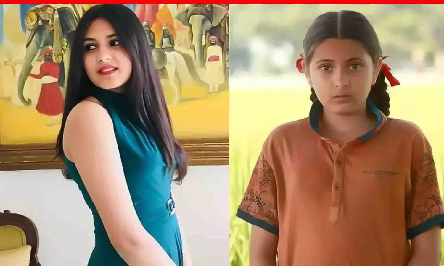 आमिर खान की ऑन स्क्रीन बेटी सुहानी भटनागर का 19 साल की उम्र में निधन, दंगल फिल्म में बनी थी छोटी बबीता फोगाट
