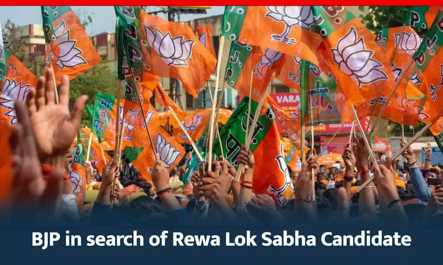 Rewa Loksabha Election 2024
