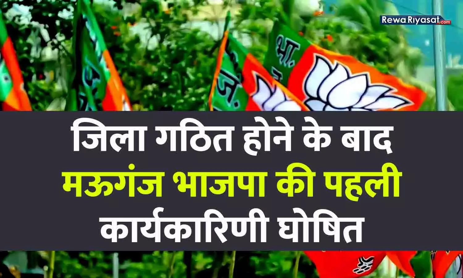 जिला गठन के बाद मऊगंज भाजपा की पहली कमेटी घोषित, राजेंद्र की टीम में अनुभवी कार्यकर्ताओं के साथ कई युवा चेहरों को भी मिला मौका जिला गठन के बाद मऊगंज भाजपा की पहली कमेटी घोषित, राजेंद्र की टीम में अनुभवी कार्यकर्ताओं के साथ कई युवा चेहरों को भी मिला मौका