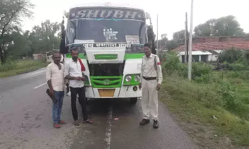 एक्शन में रीवा आरटीओ, हाई सिक्योरटी रजिस्ट्रेशन प्लेट न होने पर 249 वाहनों पर 240800 रूपए का जुर्माना