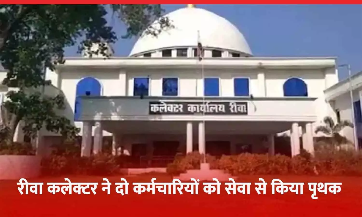 रीवा कलेक्टर ने सिरमौर में पदस्थ दो कर्मचारियों को सेवा से किया पृथक, हाईकोर्ट ने फटकार लगाई थी; रिकवरी के भी आदेश