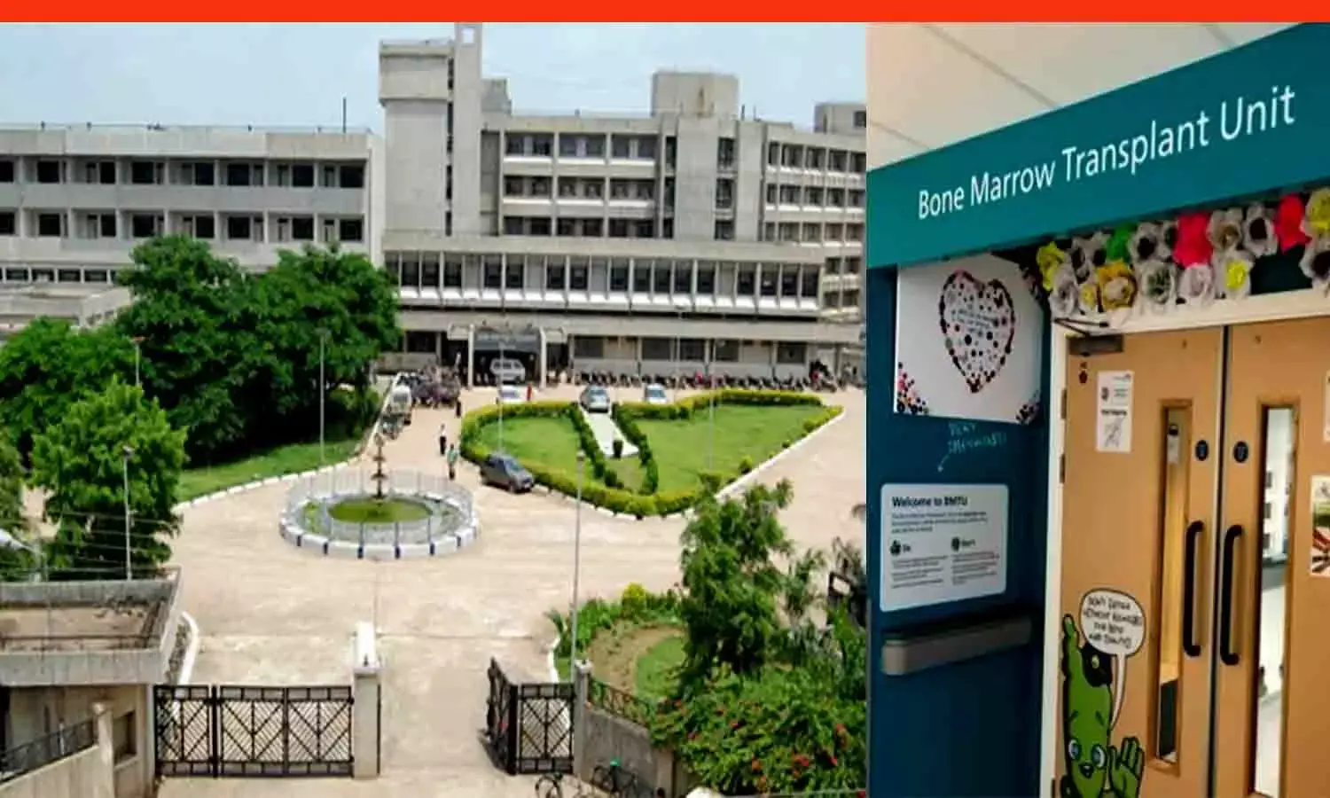 रीवा में बोन मेरो ट्रांसप्लांट यूनिट स्थापित होगी, थैलेसीमिया बीमारी से मुक्ति मिल सकेगी रीवा में बोन मेरो ट्रांसप्लांट यूनिट स्थापित होगी, थैलेसीमिया बीमारी से मुक्ति मिल सकेगी